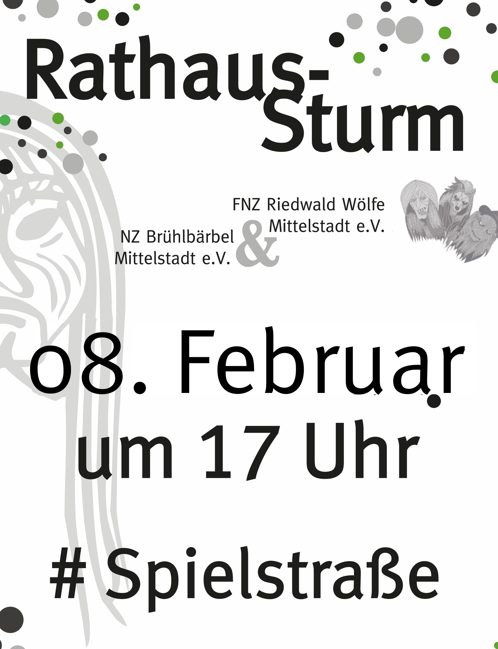 Rathaussturm am 08.02.2024 in Mittelstadt
